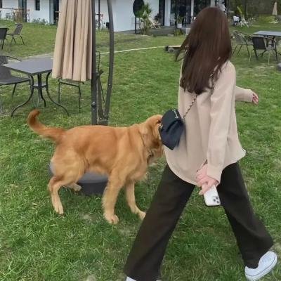 九叔之钟馗归来